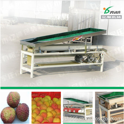 Litchi Chinensis grading machine factory price YSXT-1C